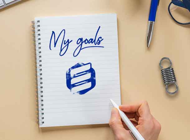 China Spring Products Corp goal setting